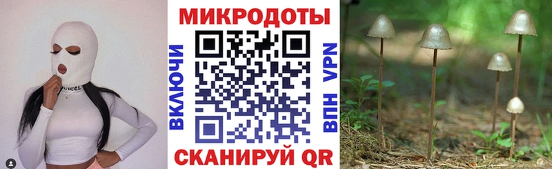 Псилоцибиновые грибы Psilocybe  Купить  Заводоуковск 